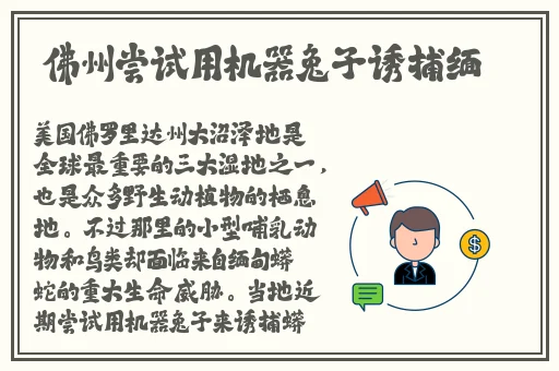 欧洲一卡2卡三卡4卡乱码